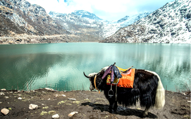Tsomgo lake, 20 minute drive from the Nathula Pass, Sikkim tourist spots